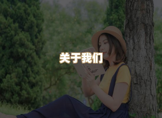 关于昭瑞电子书